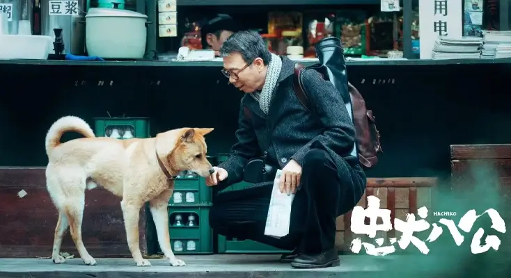 国外地区限制评价